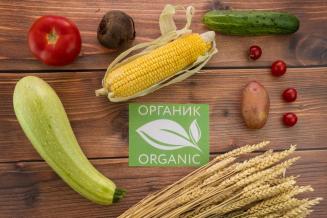 К 2030 году производство органической продукции в РФ может вырасти в&nbsp;13&nbsp;раз