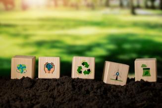 Внедрение ESG-практик в агросекторе по-прежнему актуально — эксперты
