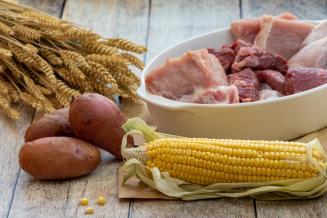 Объем поставок сельхозпродукции из РФ в страны АТР превысил 8&nbsp;млрд&nbsp;долл. в&nbsp;2022&nbsp;году