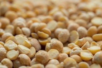 Refinitiv Agriculture: российский горох — на&nbsp;пике мирового спроса