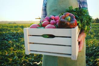 Российским фермерам планируют дать новые льготы при продаже продукции