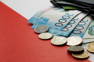 Выделяемых средств поддержки АПК достаточно для развития отрасли — Мишустин