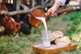 Fonterra сообщила о снижении прибыли на 13%