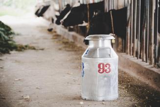 Самарские животноводы повышают молочную продуктивность коров