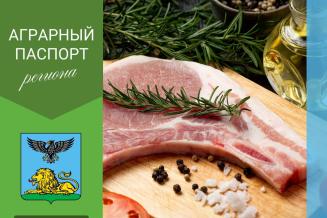 Белгородская область — лидер ЦФО по&nbsp;производству свинины