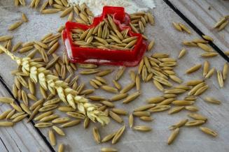 В 2021 году Россия экспортировала в страны Персидского залива продукцию АПК на&nbsp;900&nbsp;млн&nbsp;долл.&nbsp;США
