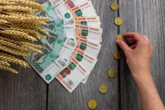 В&nbsp;Пензенской области получателям господдержки АПК и&nbsp;развития сел перечислено 895,5&nbsp;млн&nbsp;руб.