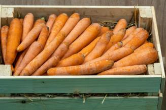 Обзор цен на сельхозпродукцию и&nbsp;продовольствие в&nbsp;Приморском крае