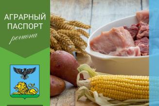 Белгородская область: «мясная житница» и перспективный растениеводческий регион