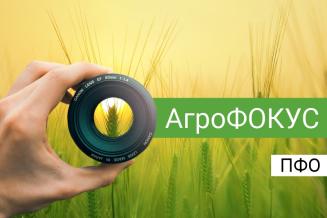 «АгроФОКУС». Ключевые новости в&nbsp;АПК ПФО за&nbsp;июнь 2023&nbsp;года