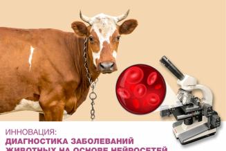 Чувашский ГАУ представил проект «Гемоскан» в&nbsp;финале конкурса «Еда будущего» Агентства инноваций Москвы