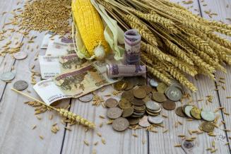 Получателям господдержки на&nbsp;развитие АПК и&nbsp;сел Ингушетии перечислено 431,5&nbsp;млн&nbsp;руб.