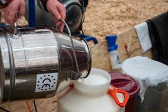 В&nbsp;сельхозорганизациях Республики Алтай на&nbsp;16% увеличилось производство молока