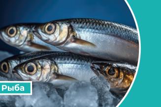 Дайджест «Рыба»: в&nbsp;России производство продукции товарной аквакультуры в&nbsp;2022&nbsp;году выросло на&nbsp;7,5%