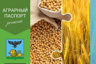 Белгородская область — один из&nbsp;крупнейших производителей сои и&nbsp;растительных масел в&nbsp;стране