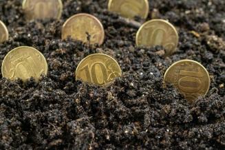 Кировская область продолжает лидировать среди регионов ПФО по&nbsp;освоению средств поддержки аграриев