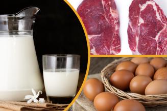 Россия и Иран готовятся к&nbsp;расширению торговли продукцией животноводства
