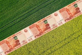 Объем биржевых торгов сельхозпродукцией в&nbsp;РФ за&nbsp;девять месяцев составил около 1&nbsp;млн&nbsp;т — ФАС
