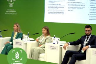 Круглый стол, посвященный ФГИС&nbsp;«Зерно», собрал более 60&nbsp;участников