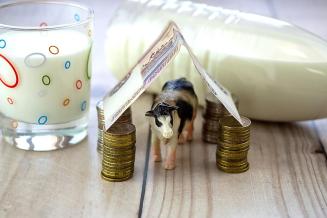 В Пермском крае появилась субсидия для переработчиков молока