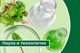 Дайджест «Наука и&nbsp;технологии»: в&nbsp;России вывели сорта сои и&nbsp;картофеля для&nbsp;северных регионов