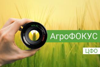 «АгроФОКУС». Ключевые новости в&nbsp;АПК ЦФО за&nbsp;сентябрь 2023&nbsp;года