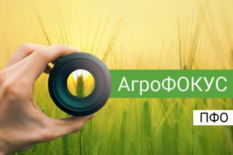 «АгроФОКУС». Ключевые новости в&nbsp;АПК ПФО за&nbsp;сентябрь 2023&nbsp;года