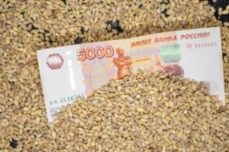 Экспорт российского зерна вырос в 1,5 раза