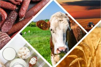Российские экспортеры продукции АПК наращивают свое присутствие за рубежом — Мишустин