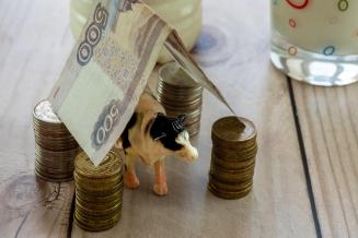 АПК Чувашии активно развивается благодаря инвестициям