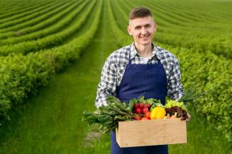 Мишустин: главы регионов должны помогать местным аграриям продвигать продукцию в сети